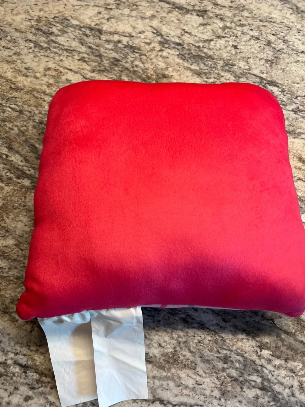 Disney Minnie Mouse Pink Kids Pillow 12 x 12 NWT